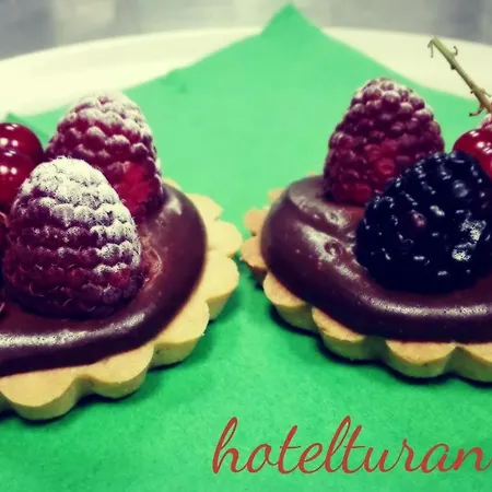 Hotell Turan 3*
