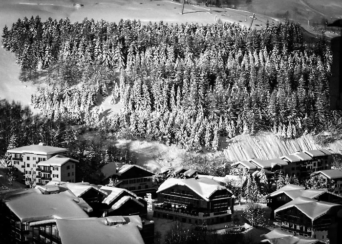 Turan Hotel Les Deux Alpes