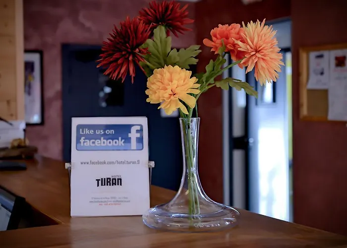 酒店 Turan 莱德萨阿尔卑斯